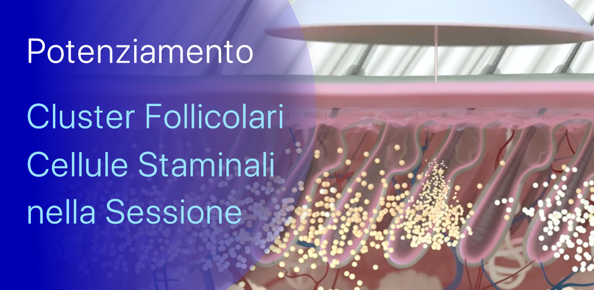 Cellule Staminali