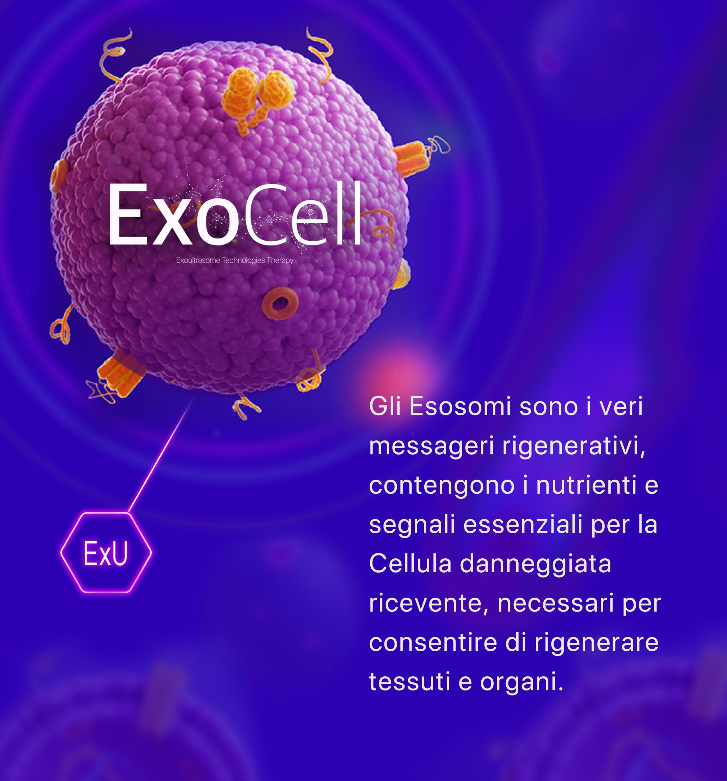 ExoCell, Exoultrasome Technologies Therapy