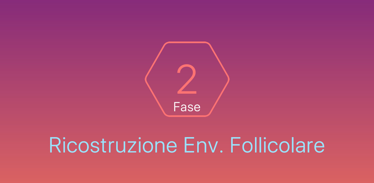 Fase2 | Ricostruzione dell’Ambiente Follicolare