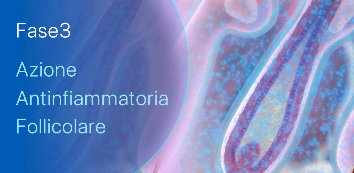 Fase 3 | Azione Antinfiammatoria