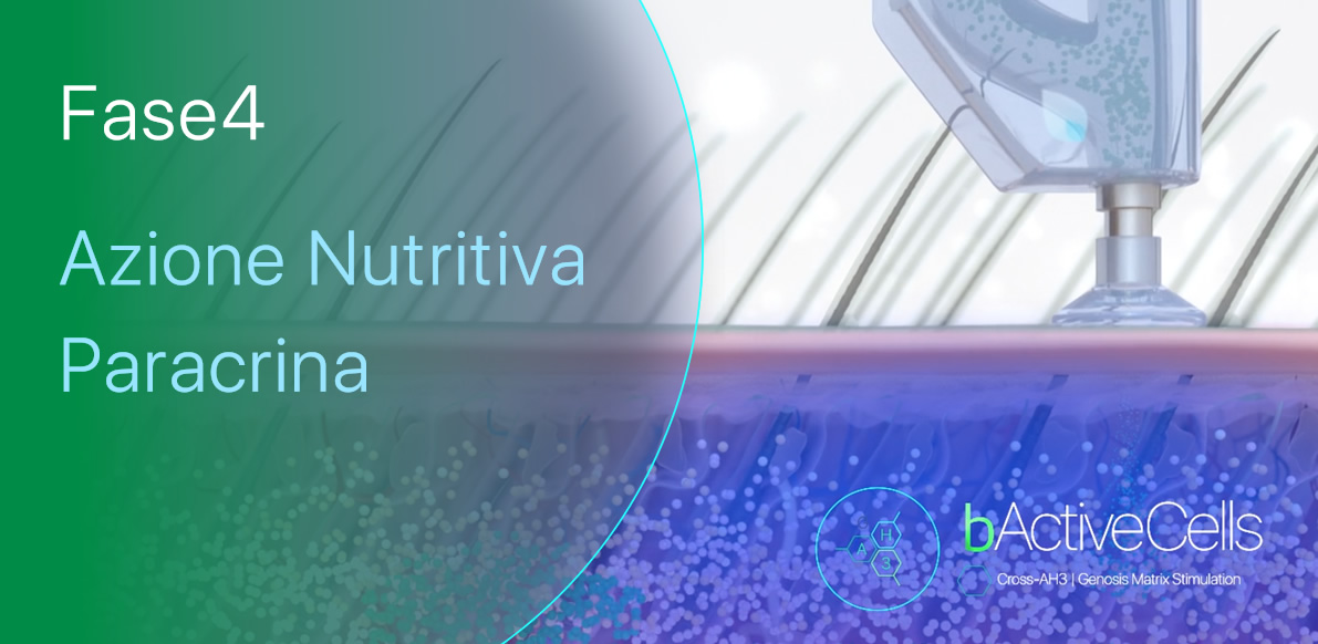 Fase4 | Azione Nutritiva Paracrina
