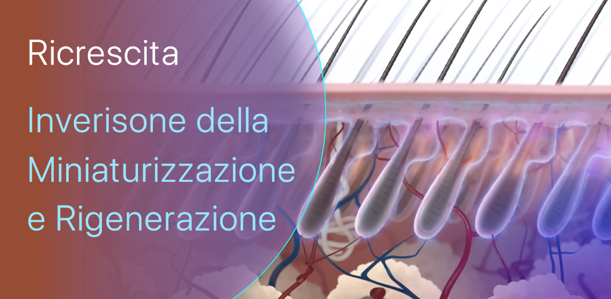 Fase5 | Rigenerazione e Ricrescita