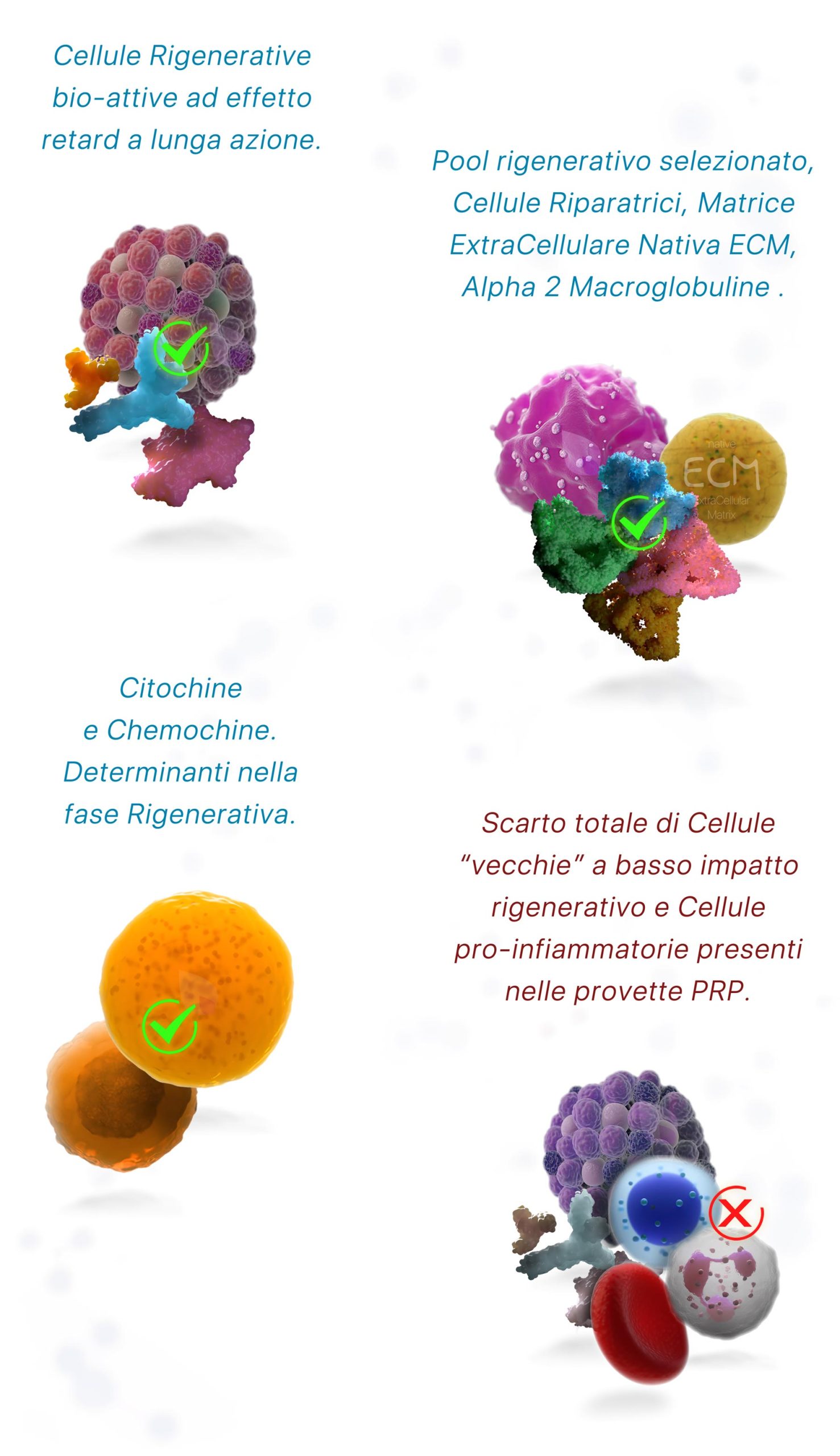Fase 2, Ricostruzione dell’Environment Follicolare
