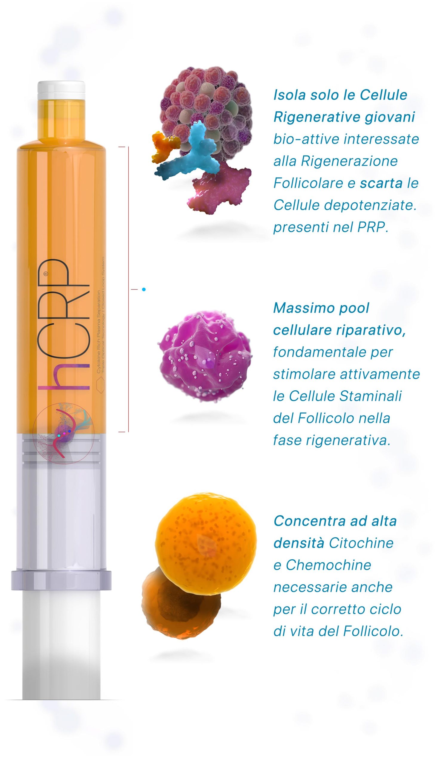 Fase 2, Ricostruzione dell’Environment Follicolare