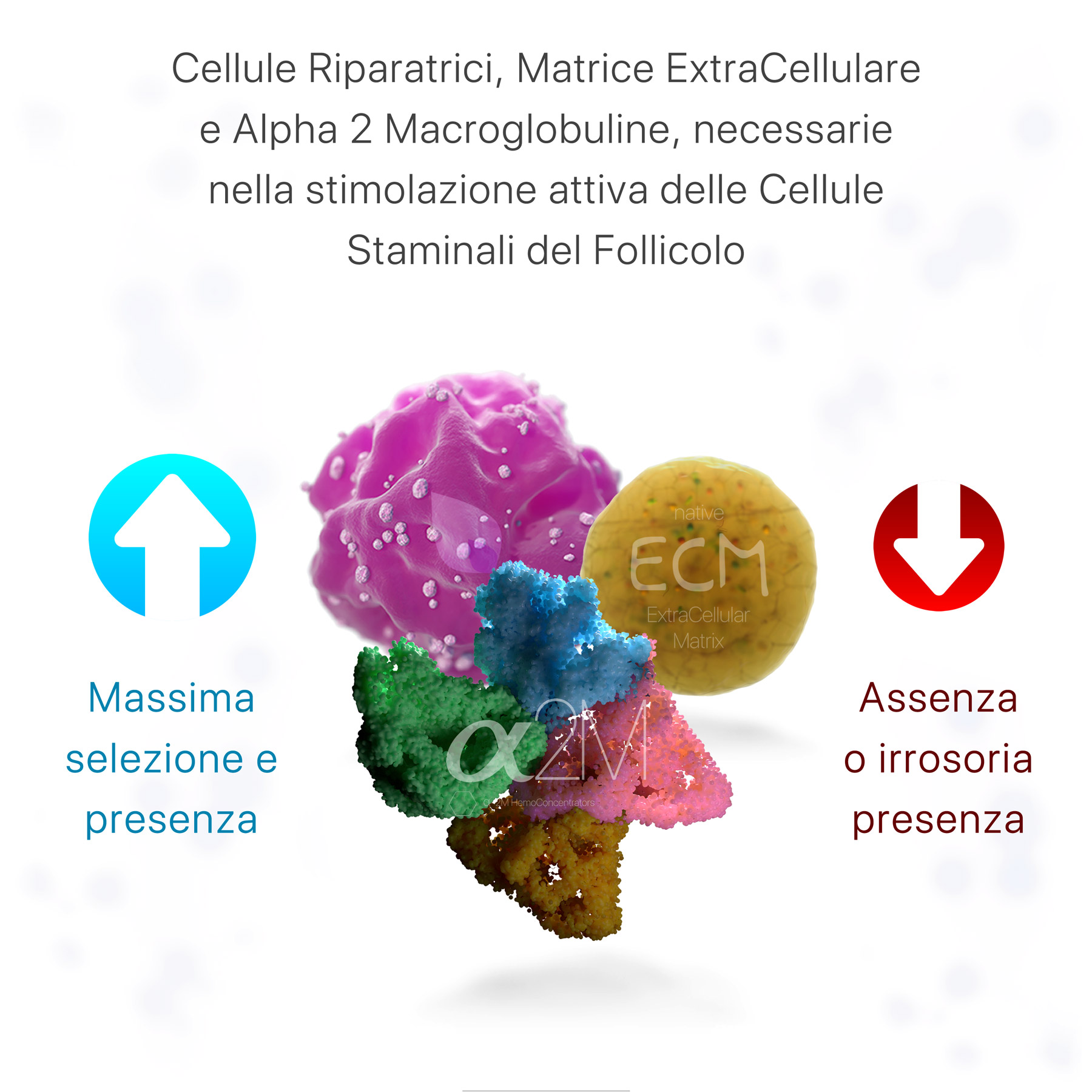 Confronto tra hCRP e PRP