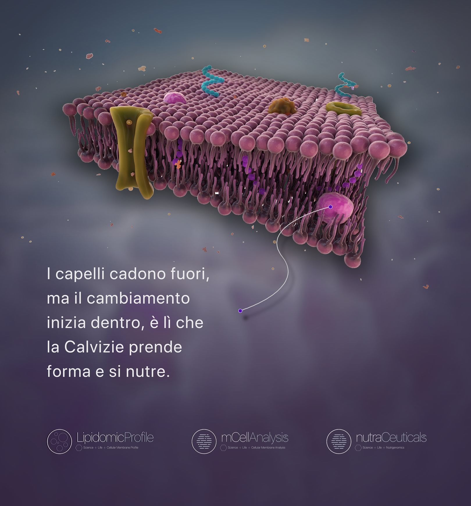 La diagnosi della Membrana Cellulare