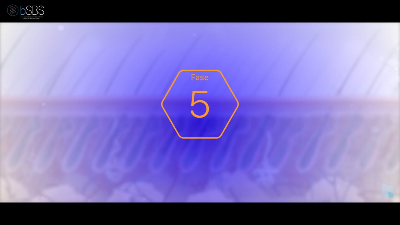 Fase 5 | Azione Tricogenetica