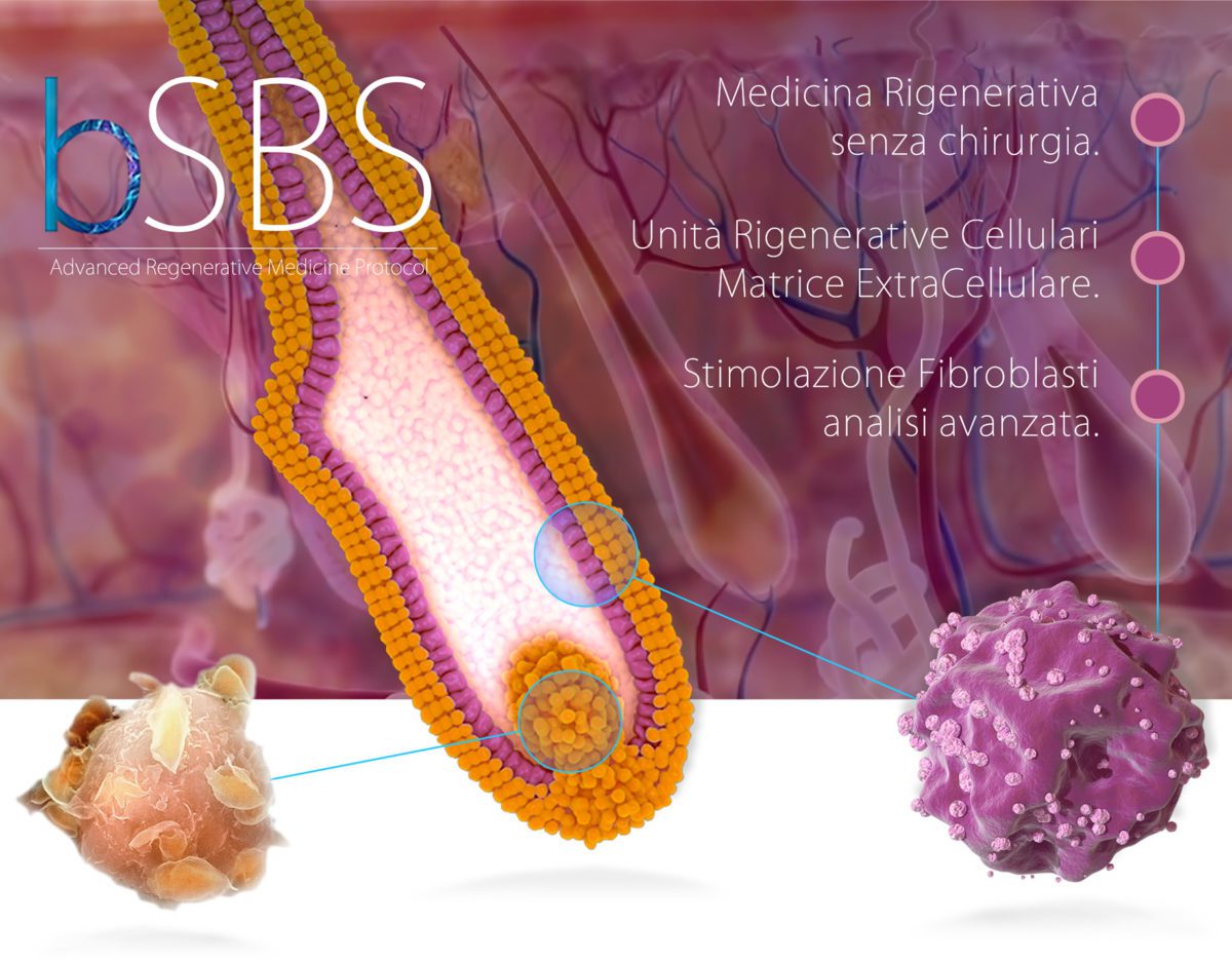 ANSA.IT - Calvizie, bSBS promuove la ricrescita