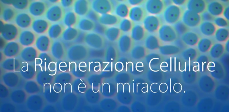 Calvizie e Rigenerazione Cellulare